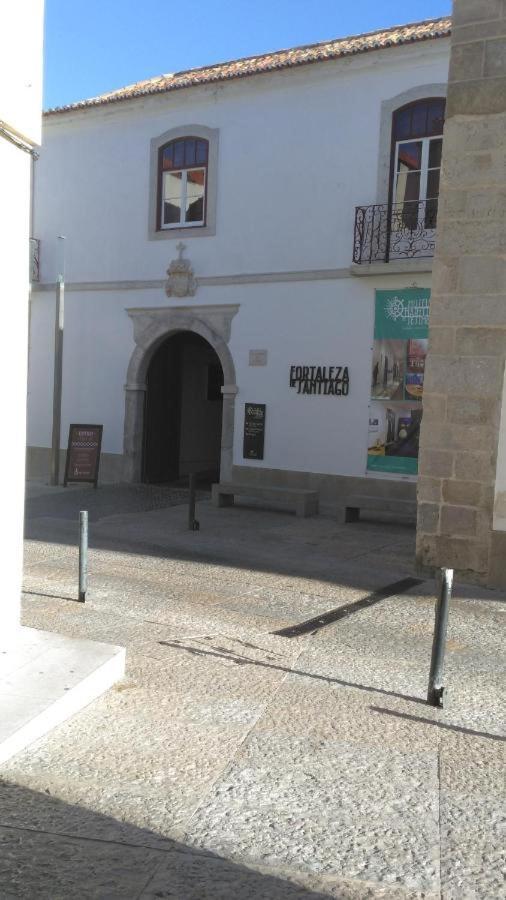 Flamingo Sesimbra